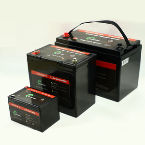 电力系统用具有竞争力的价格多规格锂电池12V Lifepo4电池 - Product Image 4
