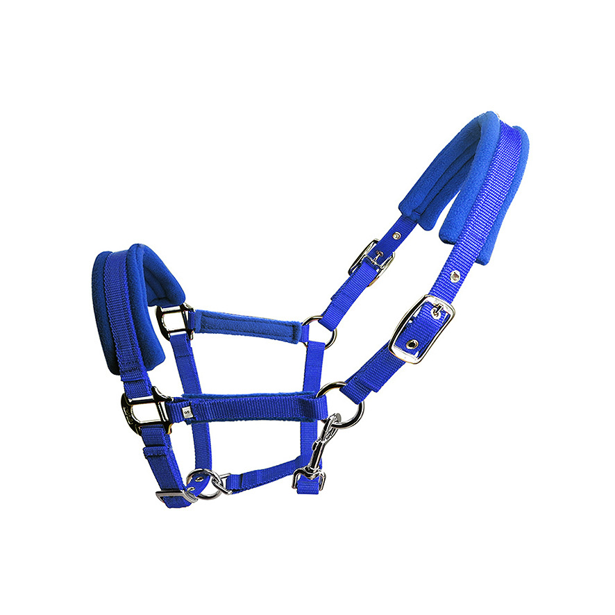 Bleu - M