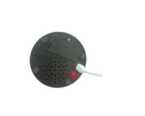 Новое поступление от производителя, программируемая звуковая Кнопка usb 8 Мб/16 Мб - Product Image 5