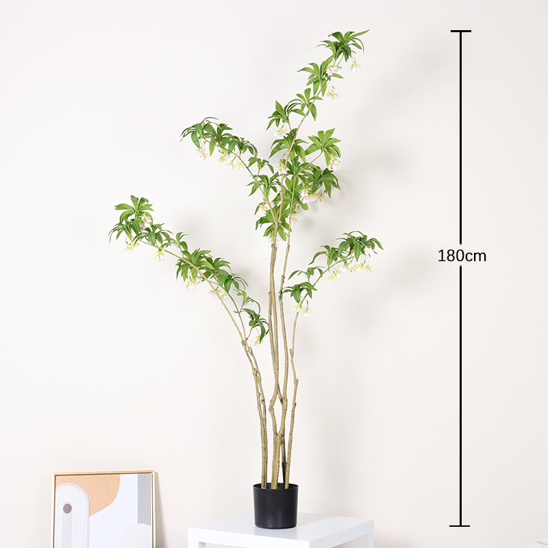 180cm