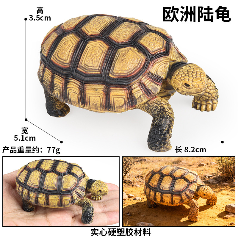 Tartaruga europea colorata TB-G02