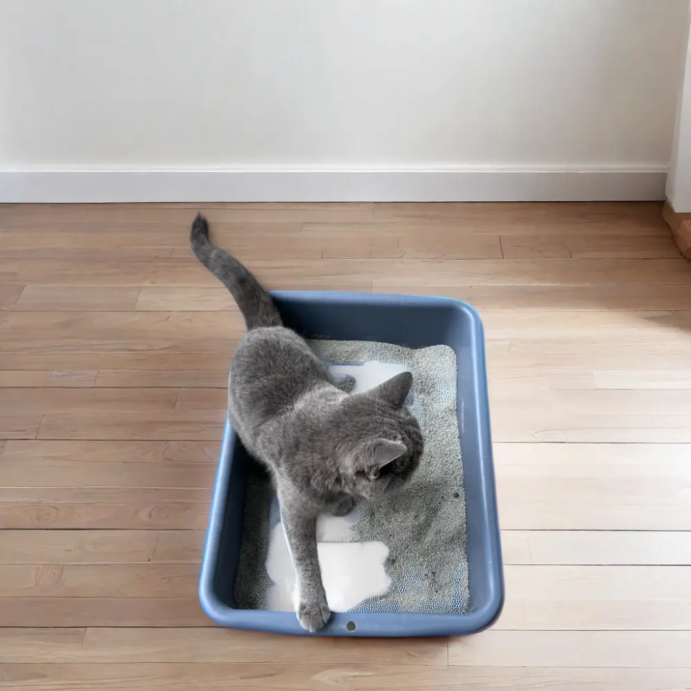 Caja de arena para gatos portátil de gran tamaño, bandeja de limpieza Simple para inodoro felino, accesorios para caja de arena para gatos