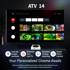 2025 C5PRO音声リモートAndroid TVボックスWifi6G 4GB 64GB 4K Ultra HDライブストリーミングOTTインターネットセットトップボックス出荷可能 - Product Image 4