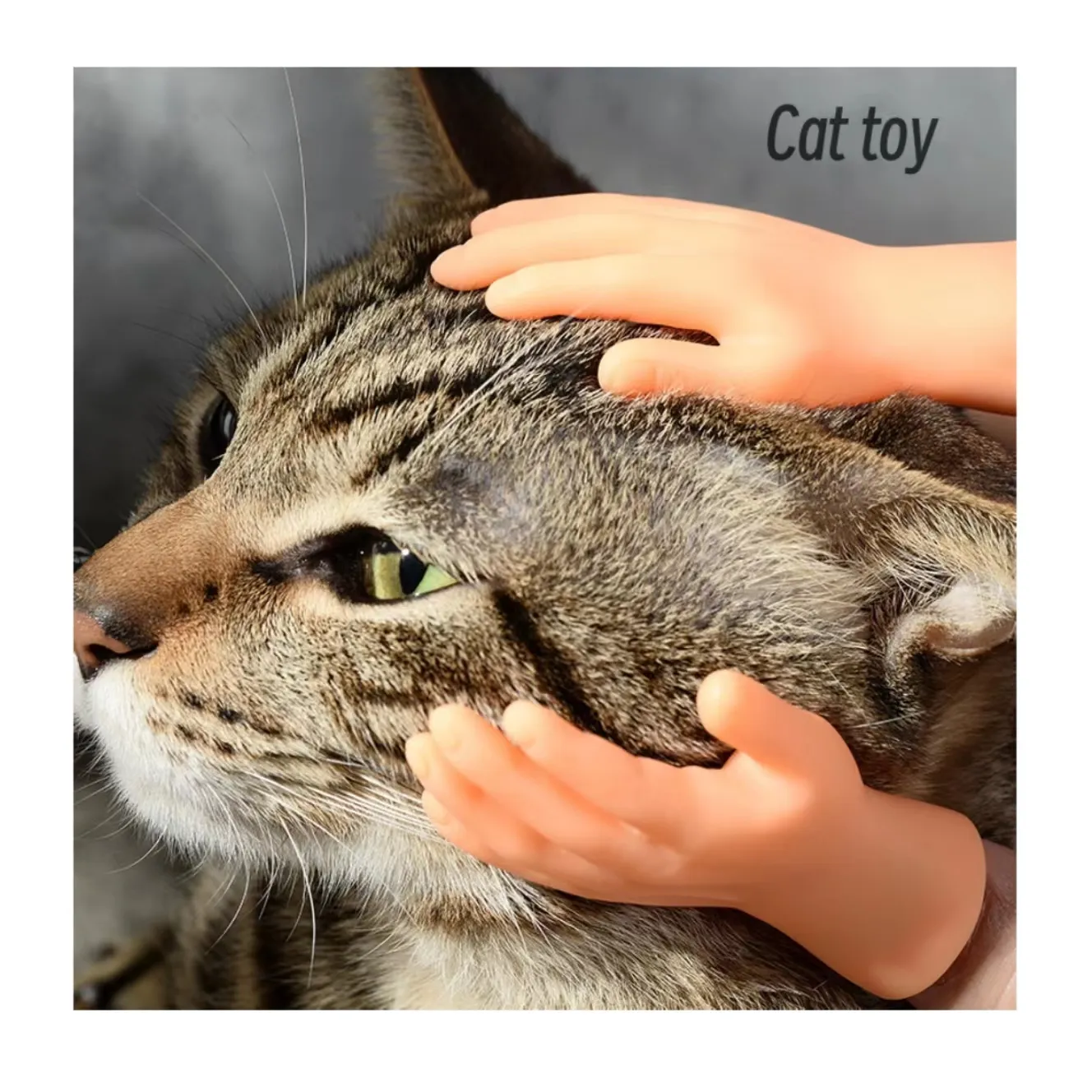 mini finger cat toy cat interactive toy wholesale Mini Funny Cartoon Finger Hands cat Massage Toys pet supply