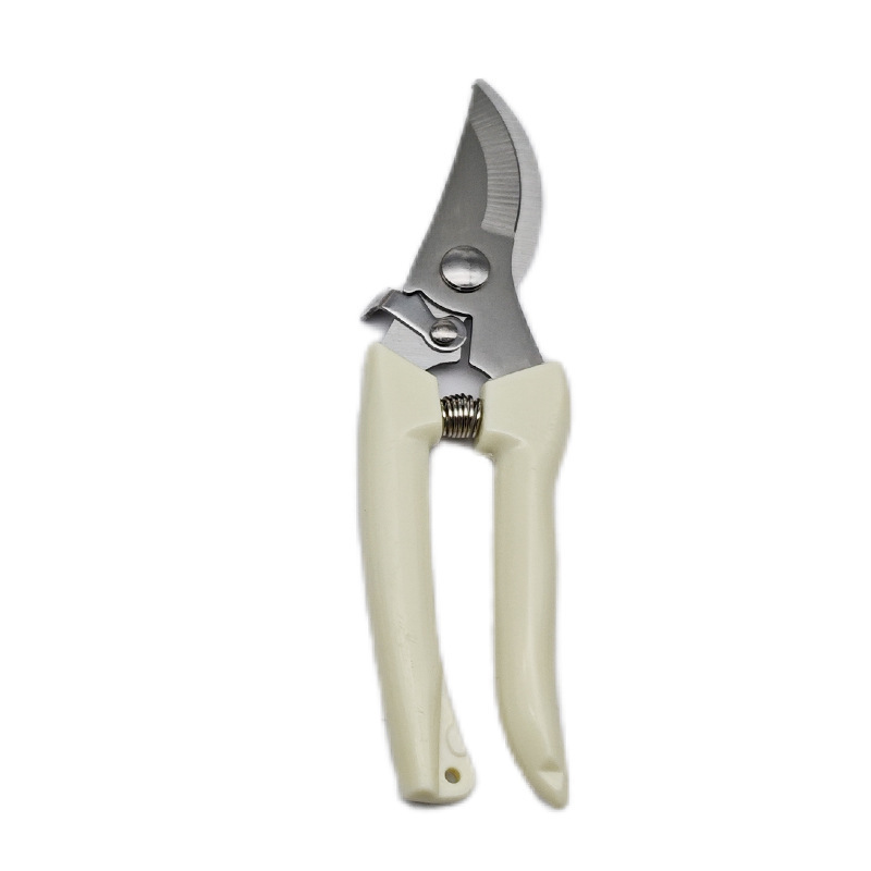 17,3 cm