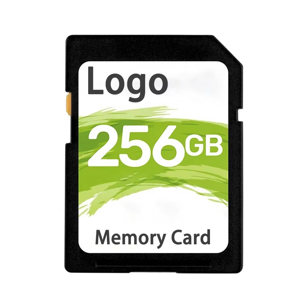 256 GB