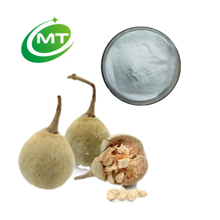 Nhà máy cung cấp 100% thiên nhiên tinh khiết mẫu miễn phí Hữu Cơ baobab bột trái cây