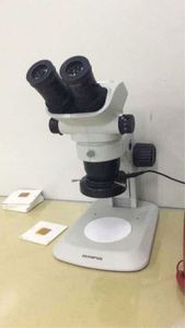 Forma portátil de alta resolución de caracteres microscopio Cámara estereomicroscopio para laboratorio - Product Image 4