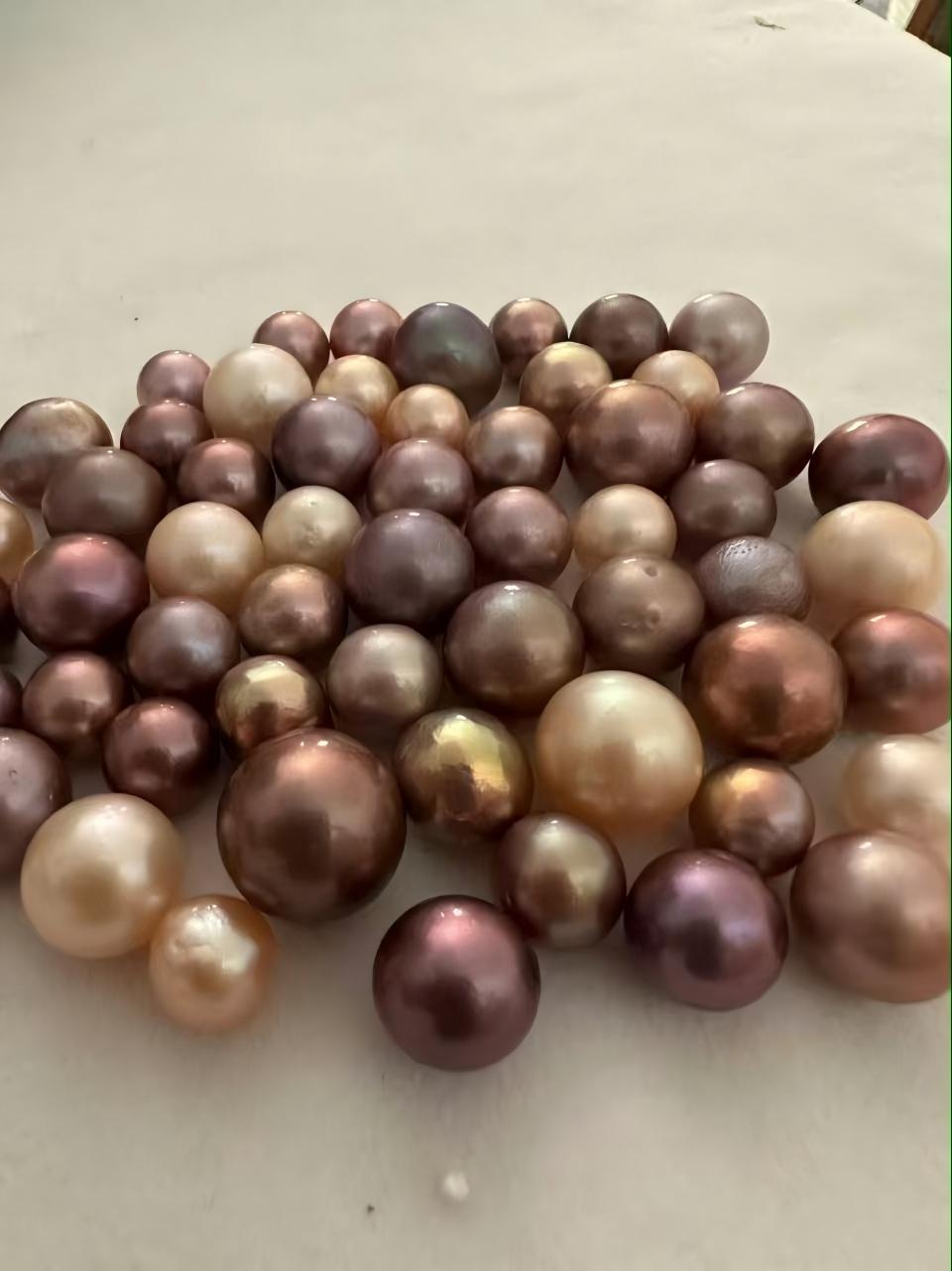 single pearl mussel/Edison Pearl 13-19mm