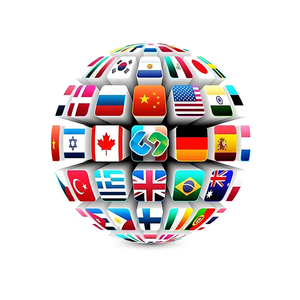 Freight Forwarder Express Shipping Agent for Certificate of Origin Forms F <strong>A</strong> <strong>B</strong> L X LCL+Express Shipping BD/CA/CL/SA/PE/AU/PK - Product Image 2