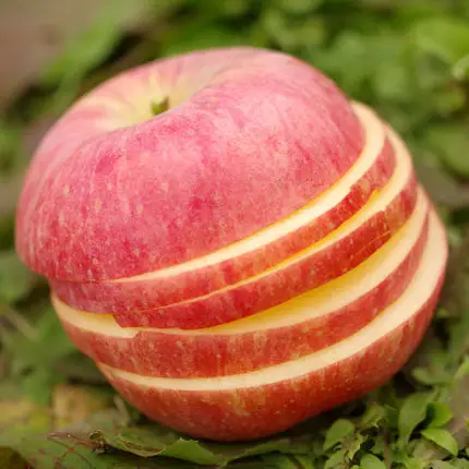 निर्माताओं प्रत्यक्ष बेच ताजा फल ताजा चीनी फ़ूजी लाल सेब थोक मूल्य