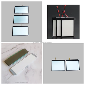 Gelbgrün COB LCD-Anzeige modul Segment anzeigen mit blauem Hintergrund Weißer Text FSTN Grauer Film LCD-Bildschirm - Product Image 6
