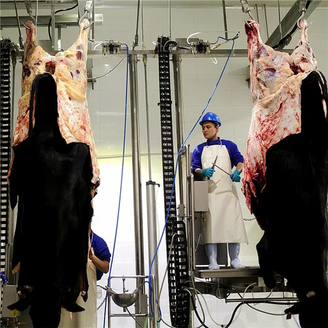 Kosher Cow Sheep Slaughterhouse With Butcher Abattoir Machine