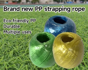 工厂包装园艺100% 聚丙烯平膜包装绳，用于家庭包装 - Product Image 3