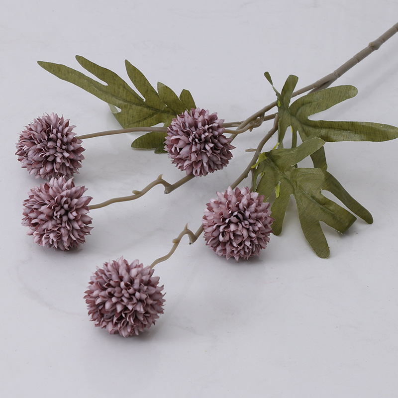 5 small ball chrysanthemums - autumn purple