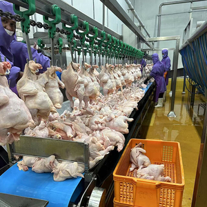 สายพานลำเลียงสำหรับหั่นเนื้อแกะเนื้อหมูไก่สำหรับหั่นเนื้อวัว - Product Image 2