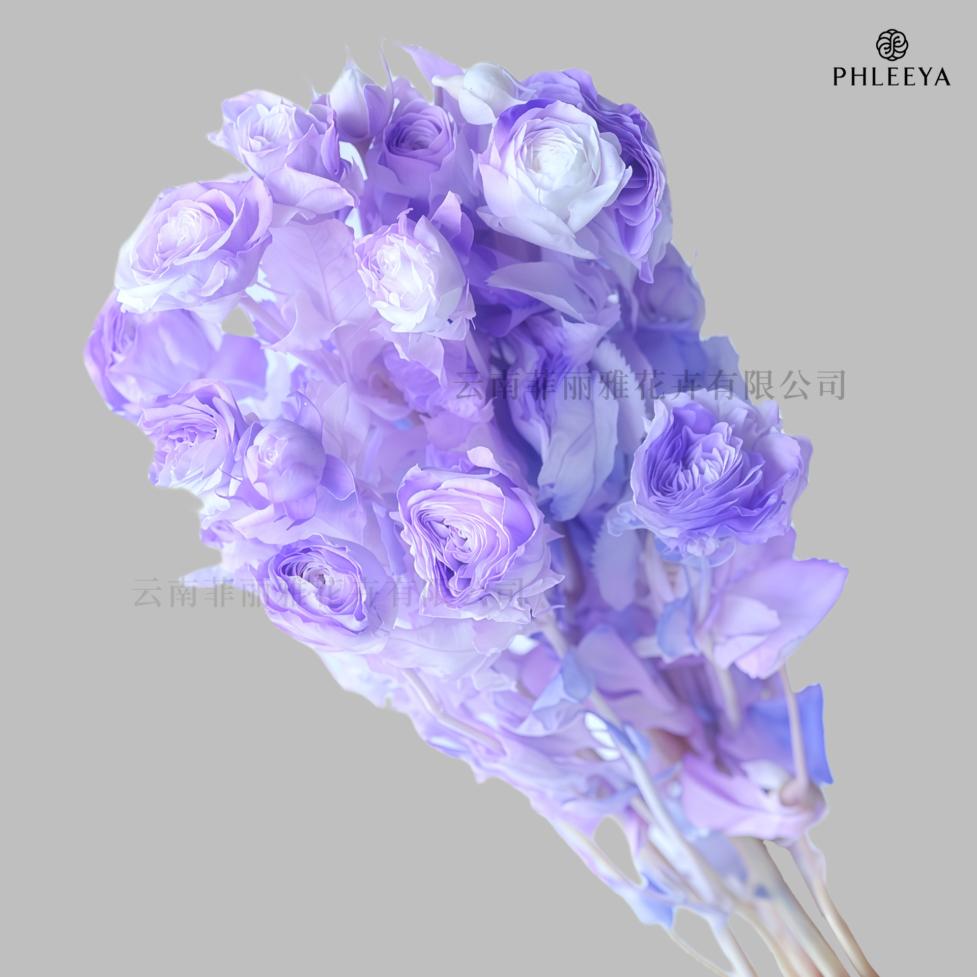 Bleu-violet