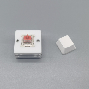 1Key USB Keypad Single Copy Paste One <strong>Key</strong> Password Multi-<strong>key</strong> Combination Custom Shortcut <strong>Keys</strong> Mechanical Keyboard - Product Image 4