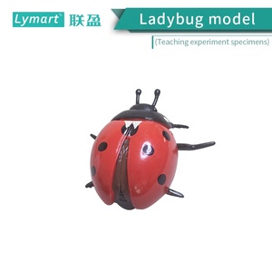 เต่าทองด่างเจ็ดรุ่นสำหรับโรงเรียนประถม - Product Image 2