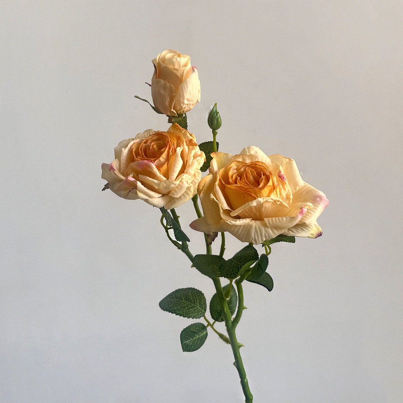 Champagne/millésime 3 roses