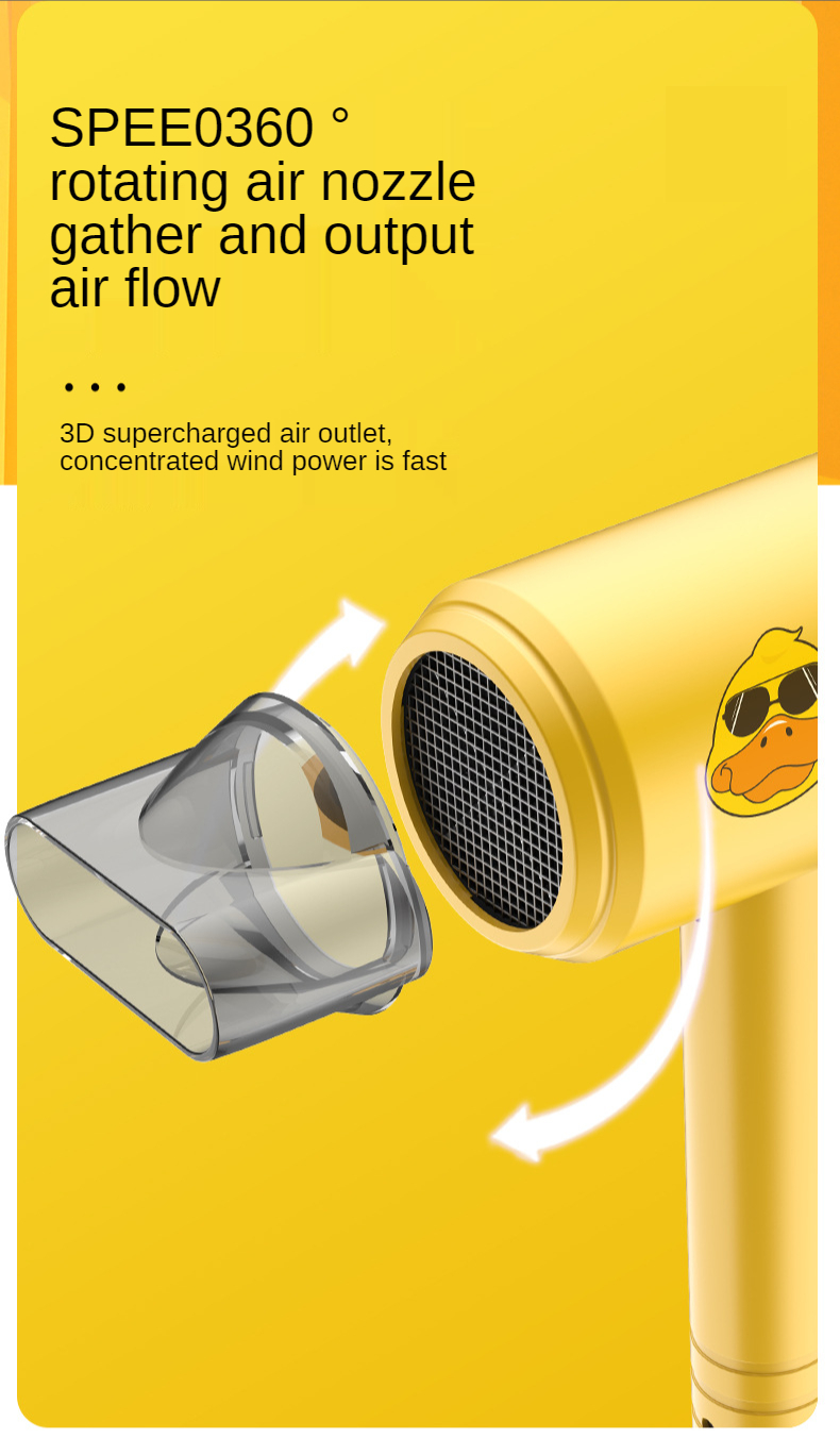 Hot Selling 800W Salon Professional DC Motor Concentrator/Ionic and Induction Function Professional blow Hair dryer