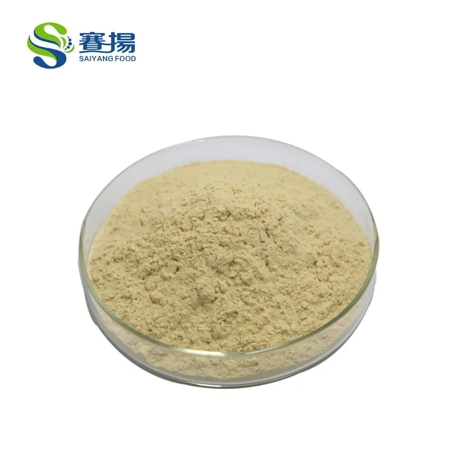 Extrait de plantes d'approvisionnement d'usine ISO Ginsenosides 80% racine de Ginseng Panax cru rouge/extrait de feuille