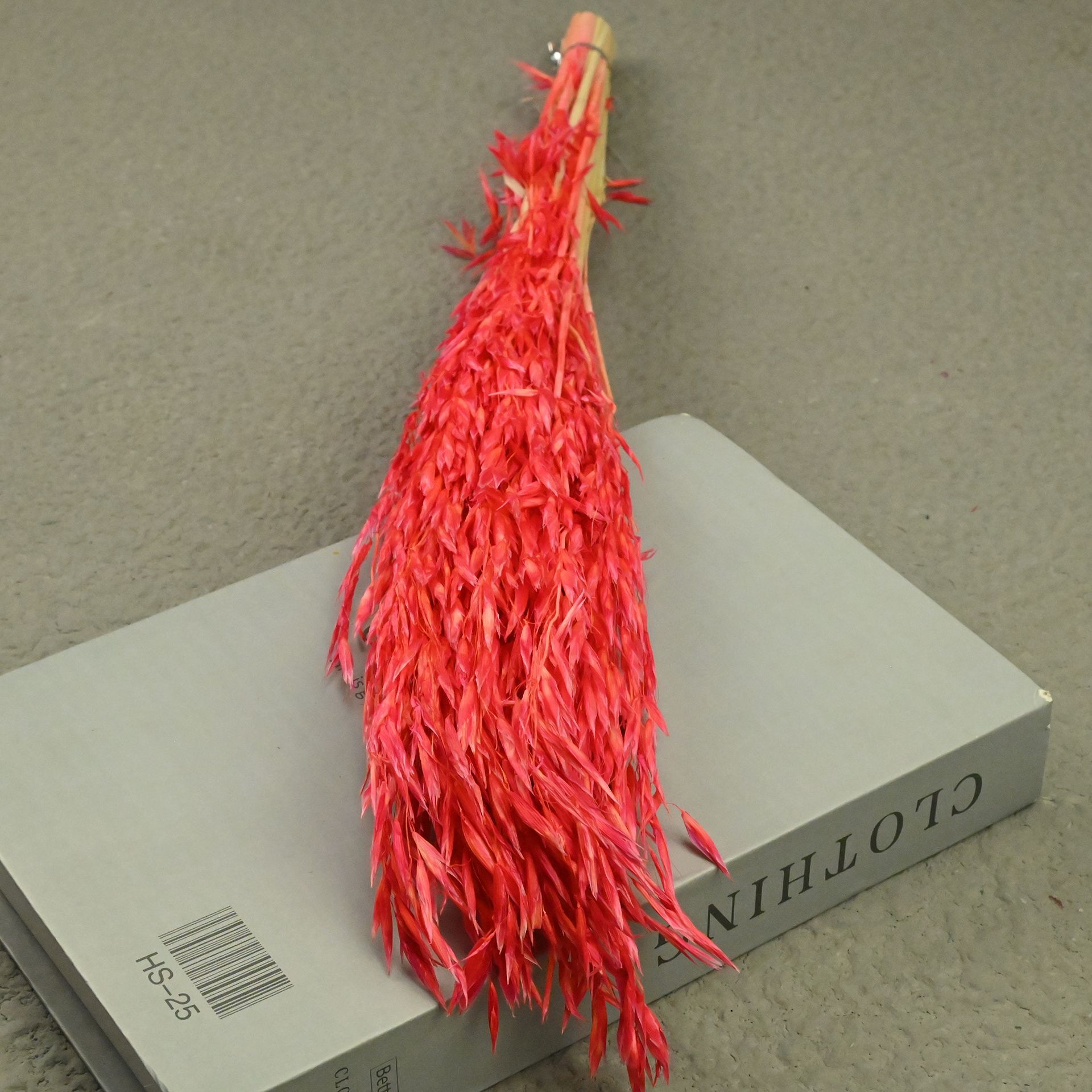 Oat red