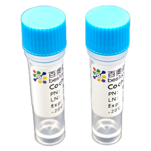 Cochlea phân ly Kit (10 Test) phân ly mô cho nghiên cứu ISO 9001 ba3321 - Product Image 5