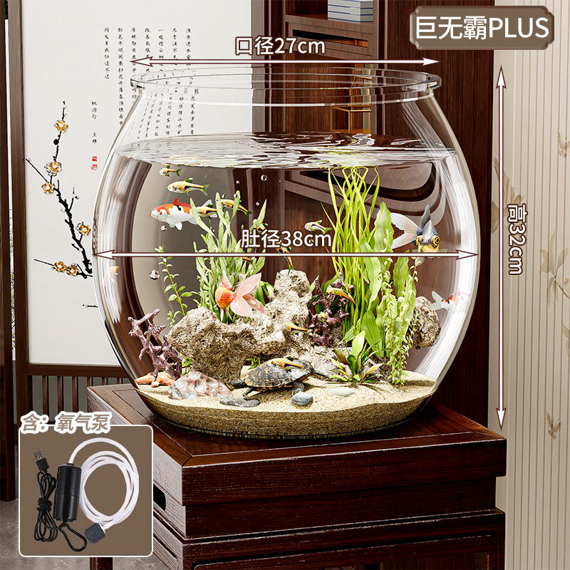 Giant plus round fish tank + oxygen pump