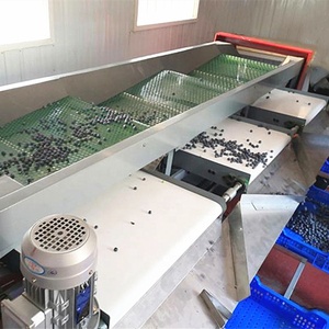 Máquina automática de clasificación de frutas, maquinaria industrial automática de línea de clasificación de peso, precio barato
