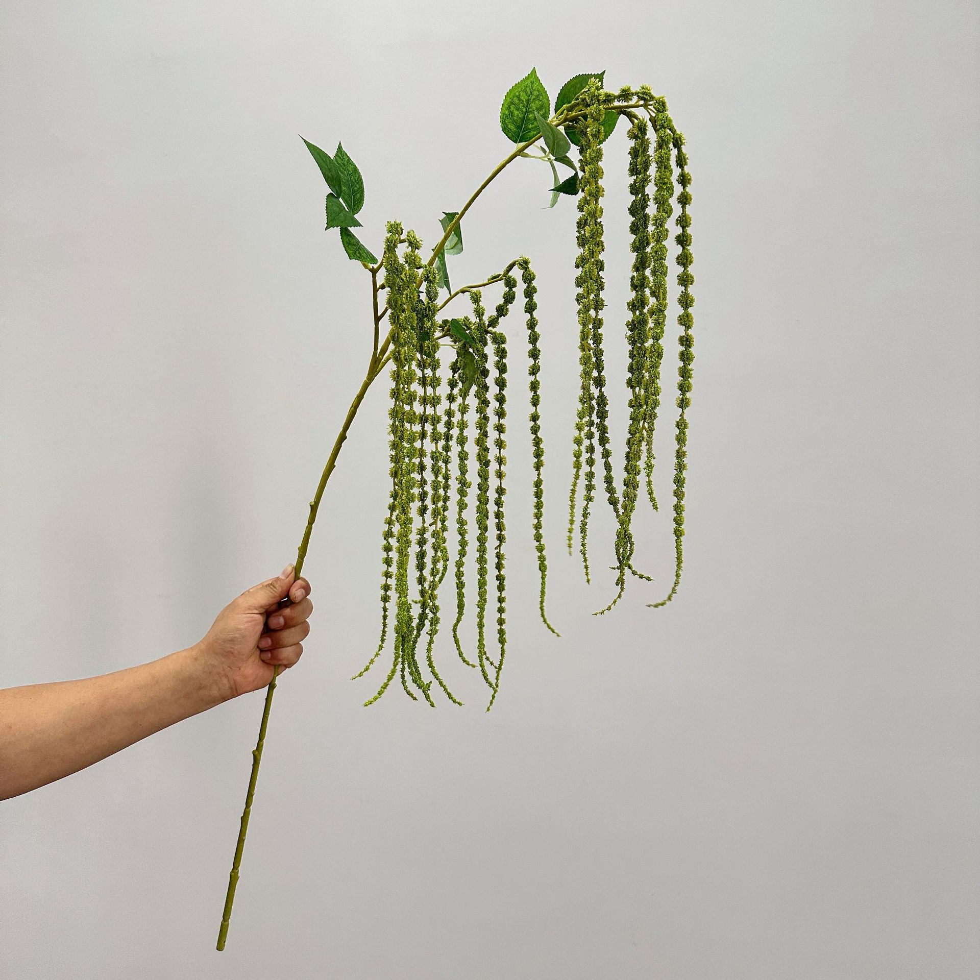3 púas amantes lágrimas-verde