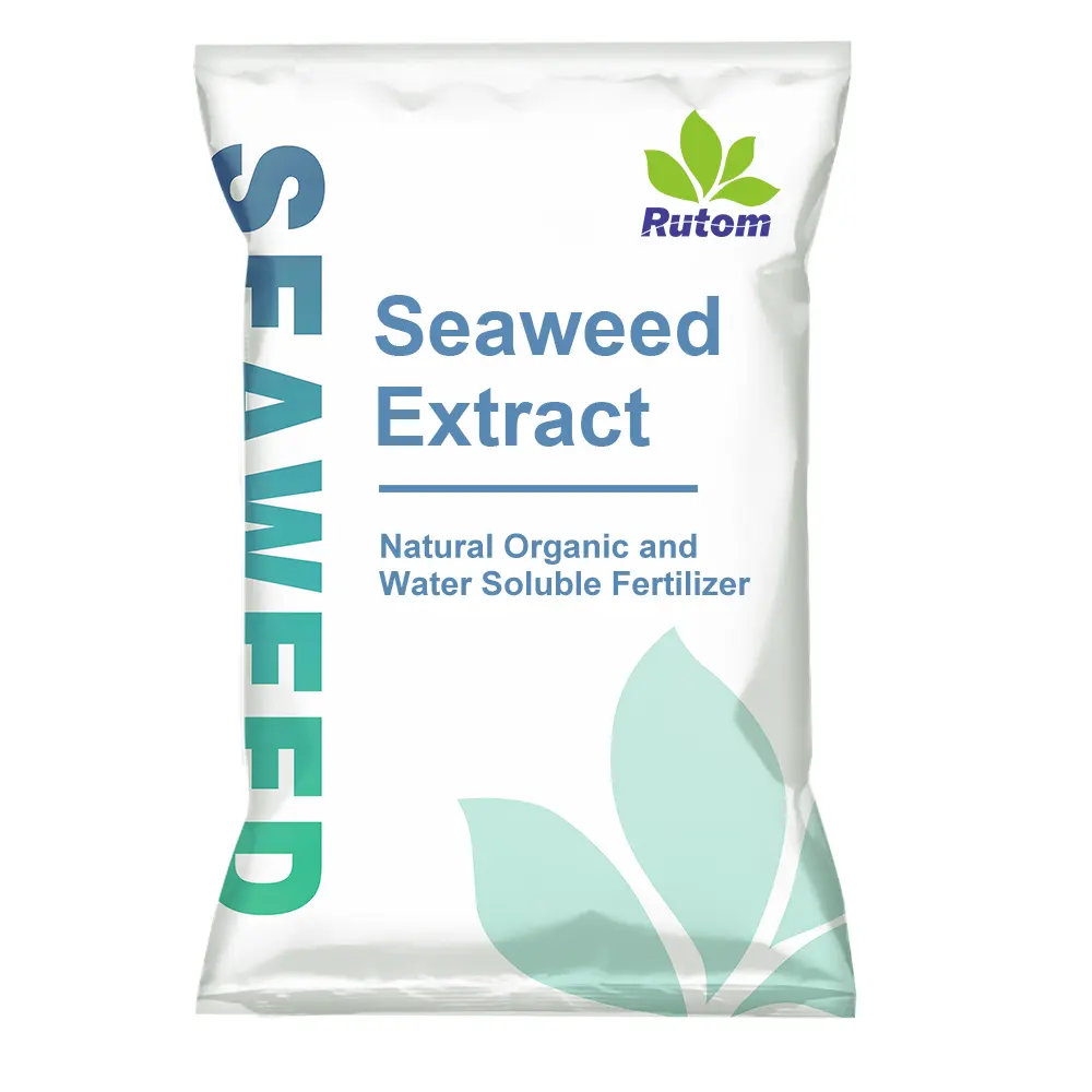 Seaweed Extract Water Soluble Super Fine Powder Natural Agriculture Agro Organic Fertilizer Chitosan Vegetable Garden Nop Ginger