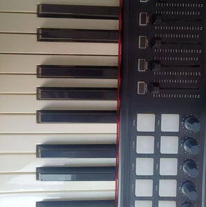 WORLDE-Controlador de teclado MIDI, teclado MIDI de 61 teclas, semi-contrapeso, con instrucciones musicales - Product Image 3
