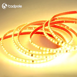 แถบไฟ LED กันน้ำสำหรับสระว่ายน้ำใช้ใต้น้ำเกรด5050 2835แถบ LED 24V ใช้กลางแจ้ง - Product Image 1