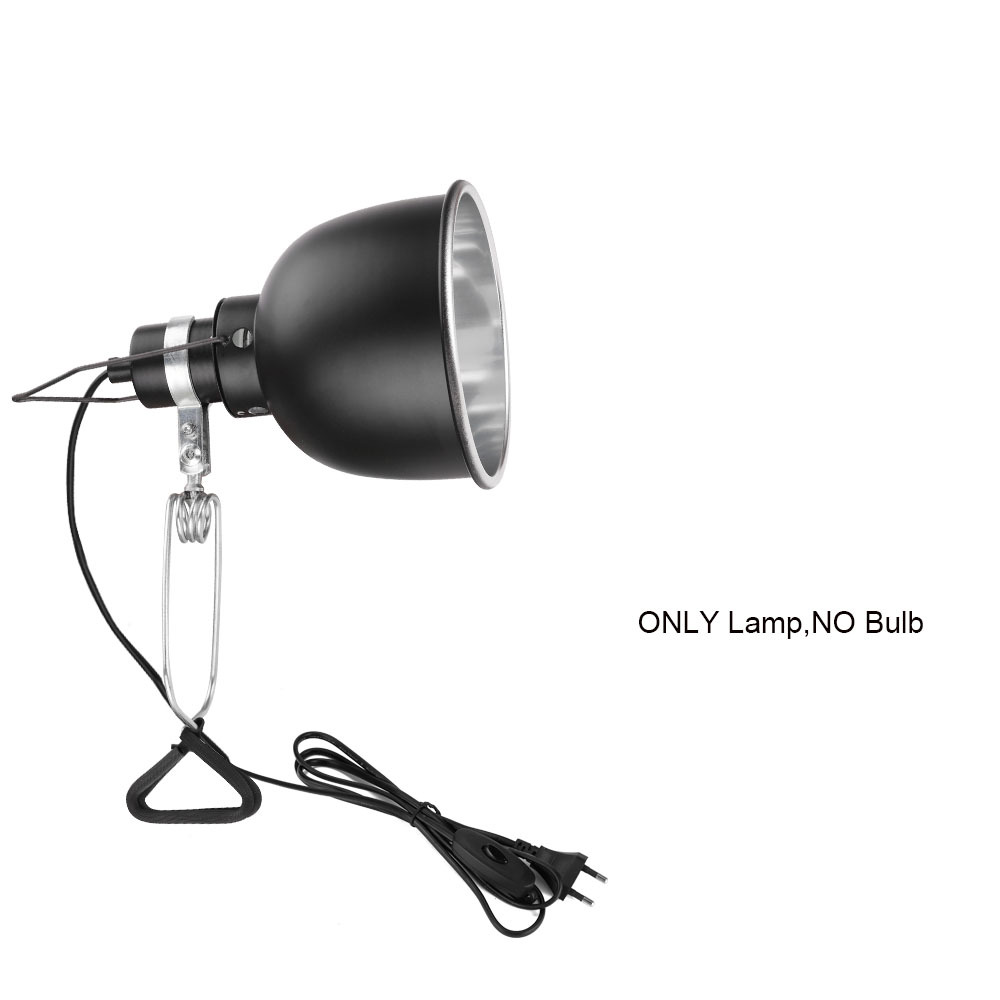 Lampe nue noire
