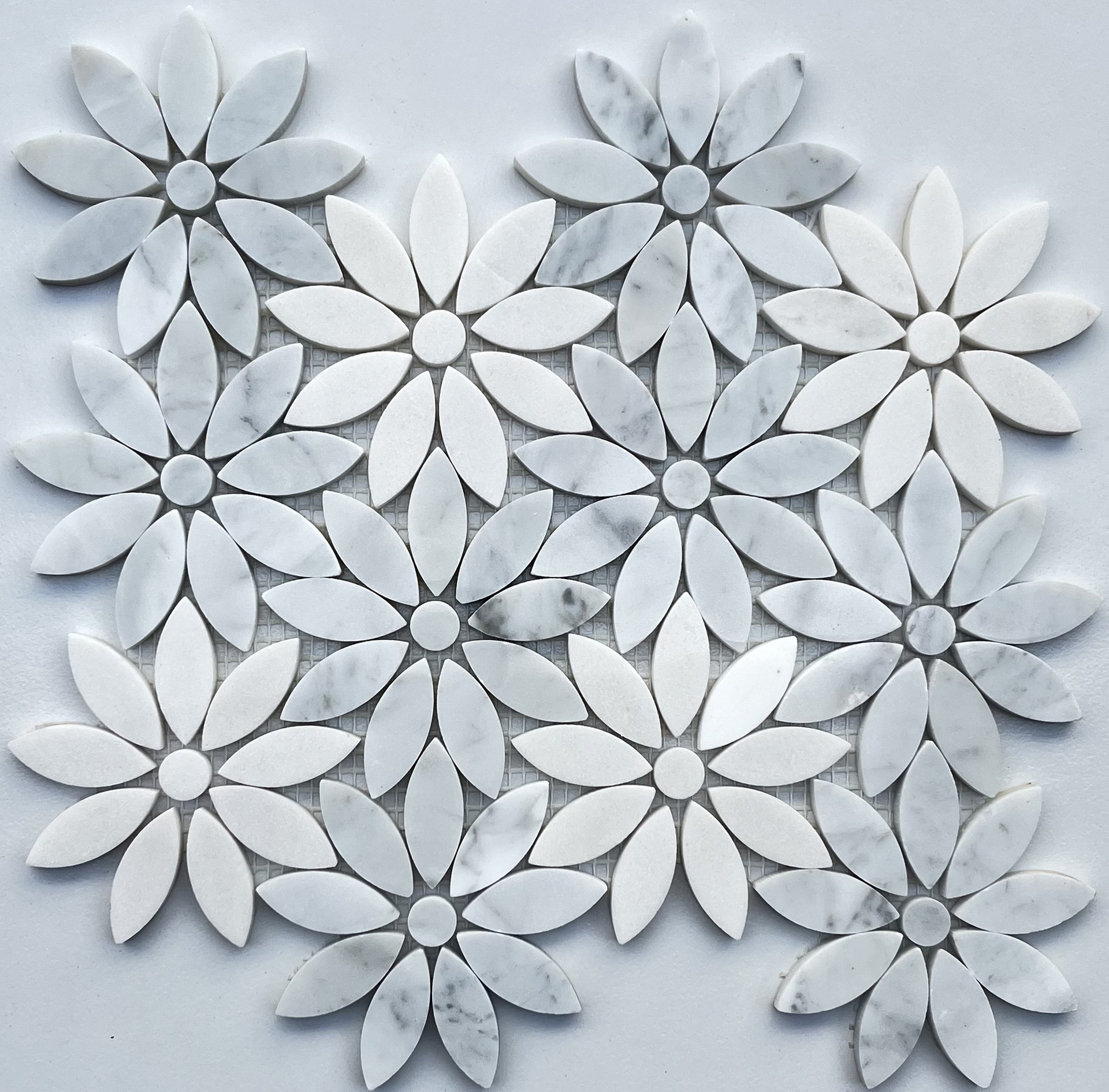 Fleurs blanches