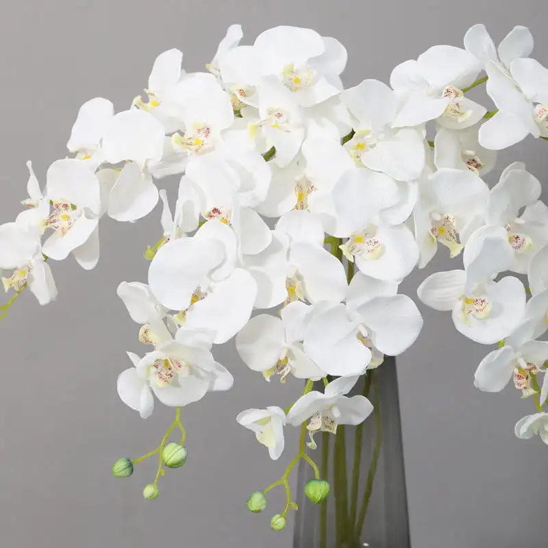 Orquídea traça látex flores artificiais naturais Orquídea borboleta flor artificial Orquídea para decoração Orquídea flores decorativas