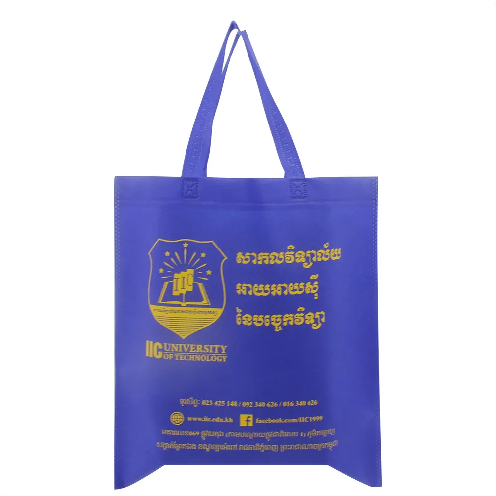 Vente en gros de sacs non tissés de type écologique, réutilisables et non tissés pour achats de cadeaux, sacs non tissés Wenzhou de haute qualité