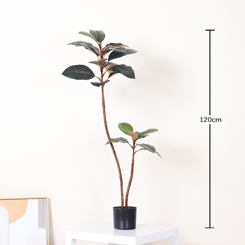120cm