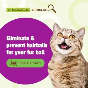 Benutzer definierte Katze Hairball Entfernen Sie Soft Chews Pet Supplement Health Care behandelt mit Distel öl und Psylium Husk Tol sanft Futter - Product Image 2