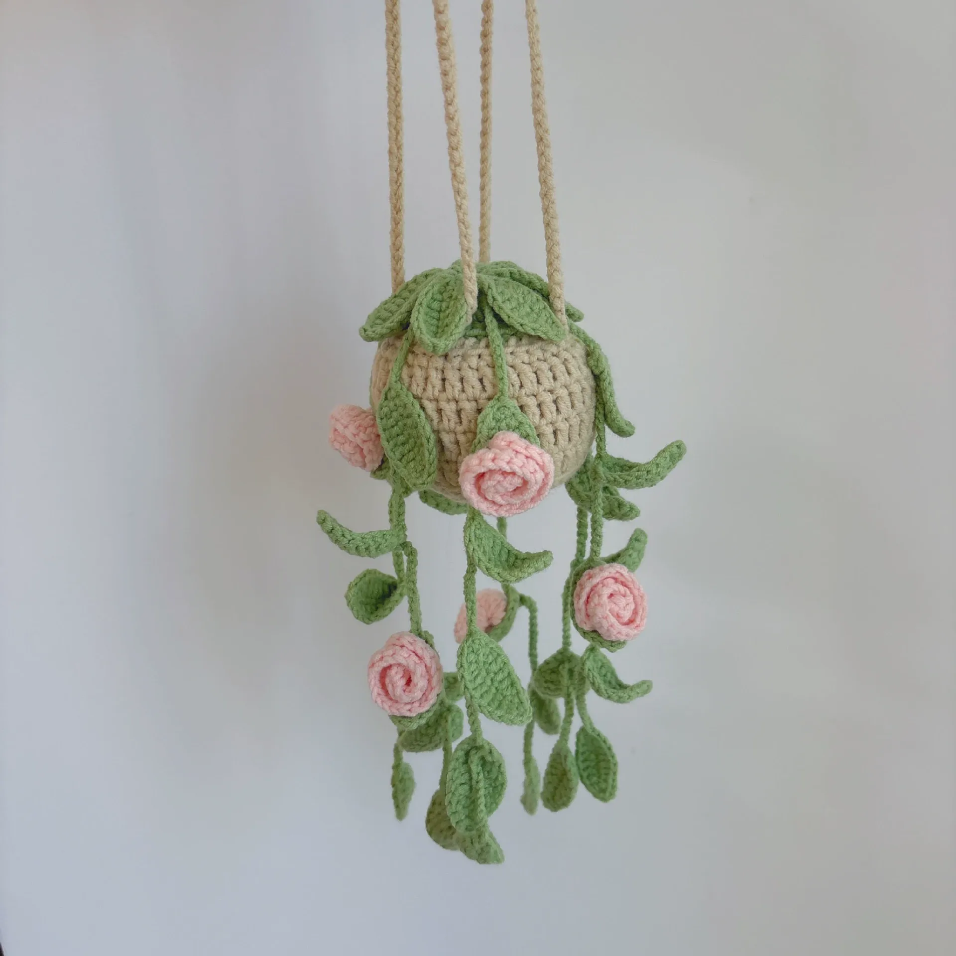 Rosa rosa