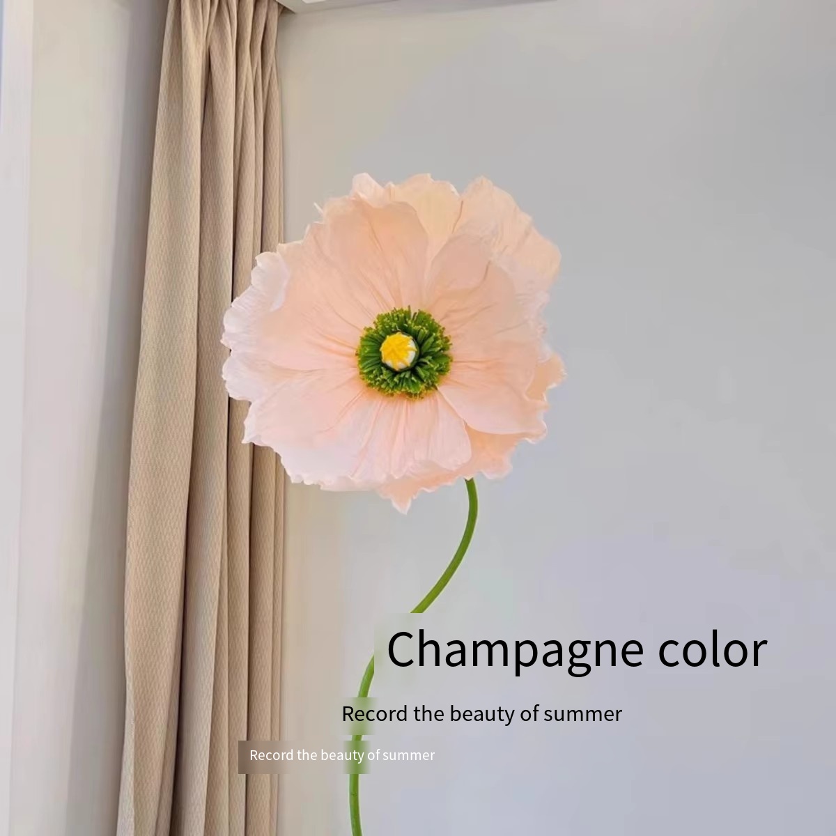 Poppy light champagne color deep flower heart without pole