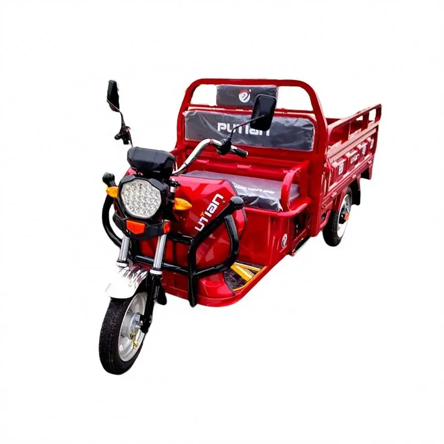 Popular Design Bike Cargo Tricycle Trailer E Bicycle Electric Trike