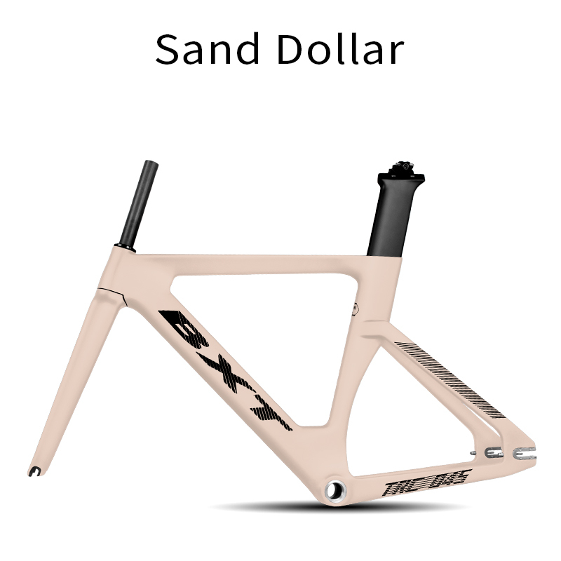 BXT Sand Dollar