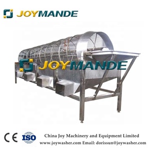 Máquina clasificadora Industrial de pepino, clasificación de zanahoria, máquina clasificadora de verduras - Product Image 6