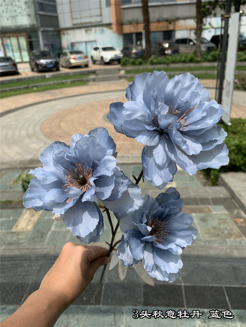 13 blue flowers