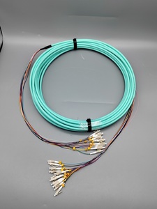 OEM multimodale OM4 12F in fibra ottica con 24 Fiber Breakout LC/PC Patch per il cablaggio del centro dati in reti WIFI 4G 3G - Product Image 5