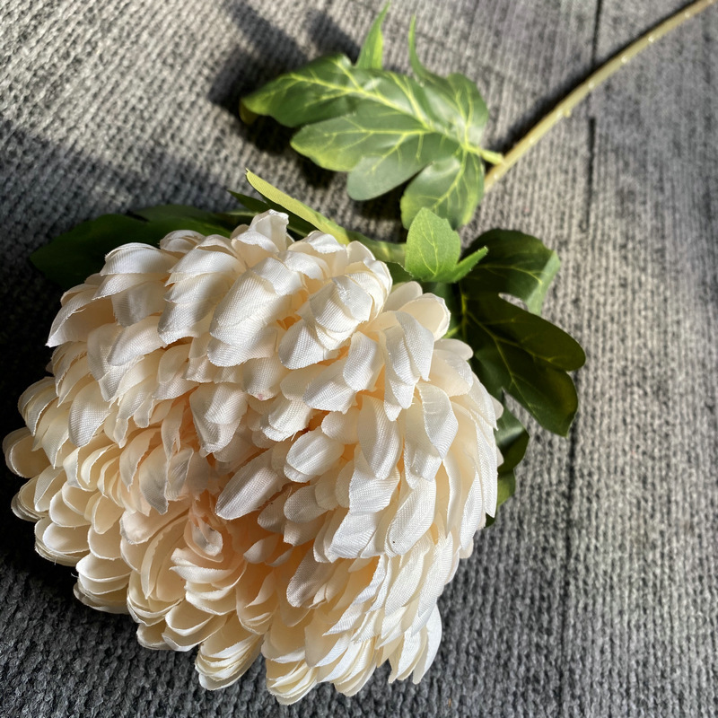 Blanc cassé