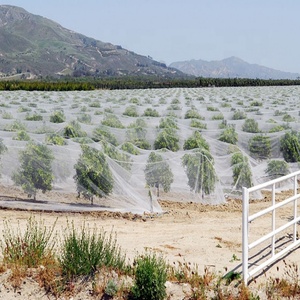 <strong>New</strong> HDPE Material Polyethylene Agricultural Fruit Tree Insect <strong>Nets</strong> Square Mesh Prevent Flies <strong>Shade</strong> Sails <strong>Nets</strong> - Product Image 3
