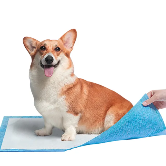 Wegwerp Puppy Pee Training Hond Pee Pad Eco Vriendelijke Bamboe Biologisch Afbreekbaar Kat Hond En Puppy Potty Training Pads